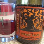 Gnarly Head Pinot 2009